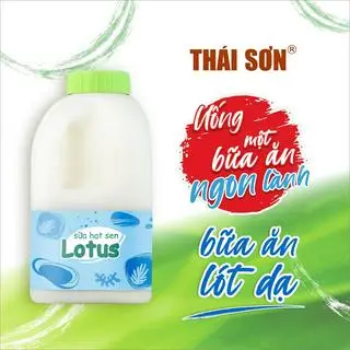 Hình ảnh Combo 6 bình Sữa Hạt Sen Lotus Yoo (568ml)