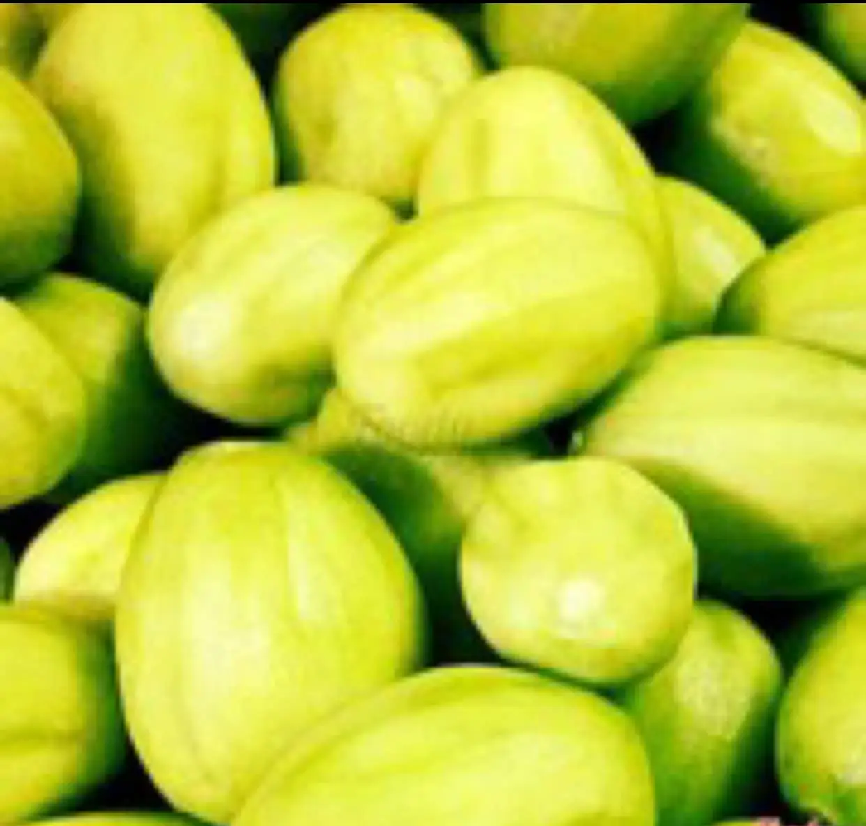 Hình ảnh cóc non mắm ruốc ( 300g ) 