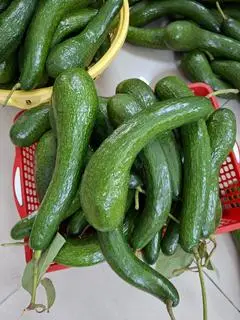 Hình ảnh Bơ 034 Xuất Khẩu Loại 1 ( 60k/kg)