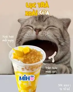 Hình ảnh Lục trà xoài sữa