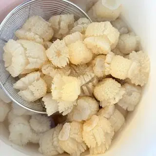 Hình ảnh THÊM SỨA ĐẠN (mini) (3-5 con tùy to nhỏ)