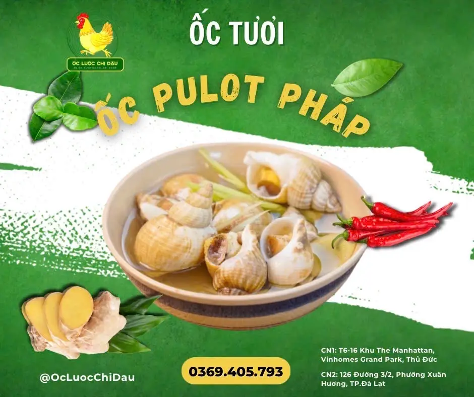 Hình ảnh Ốc Pulot Hấp