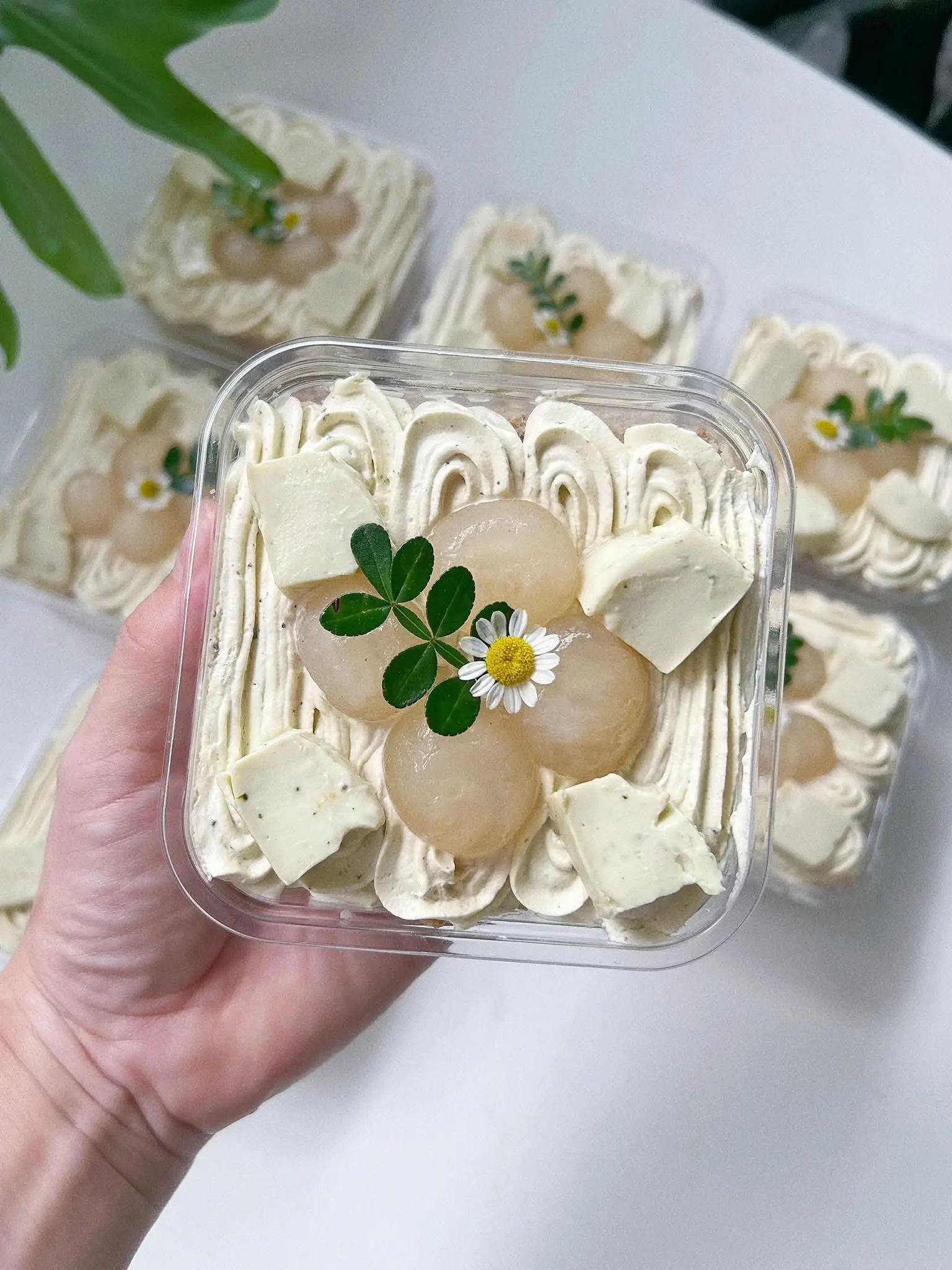 Hình ảnh Bánh olong nhài nhãn
