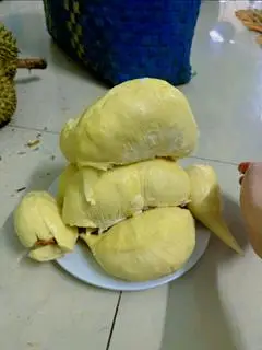Hình ảnh sầu riêng xay