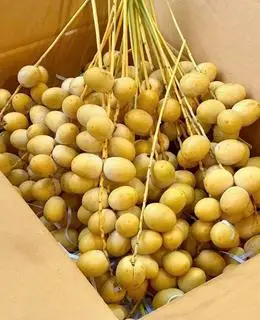 Hình ảnh trà là thái lan