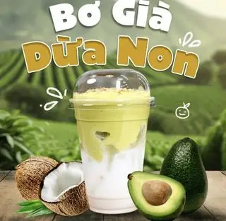 Hình ảnh Bơ già dừa non 