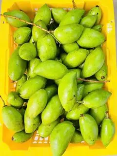 Hình ảnh Xoài non