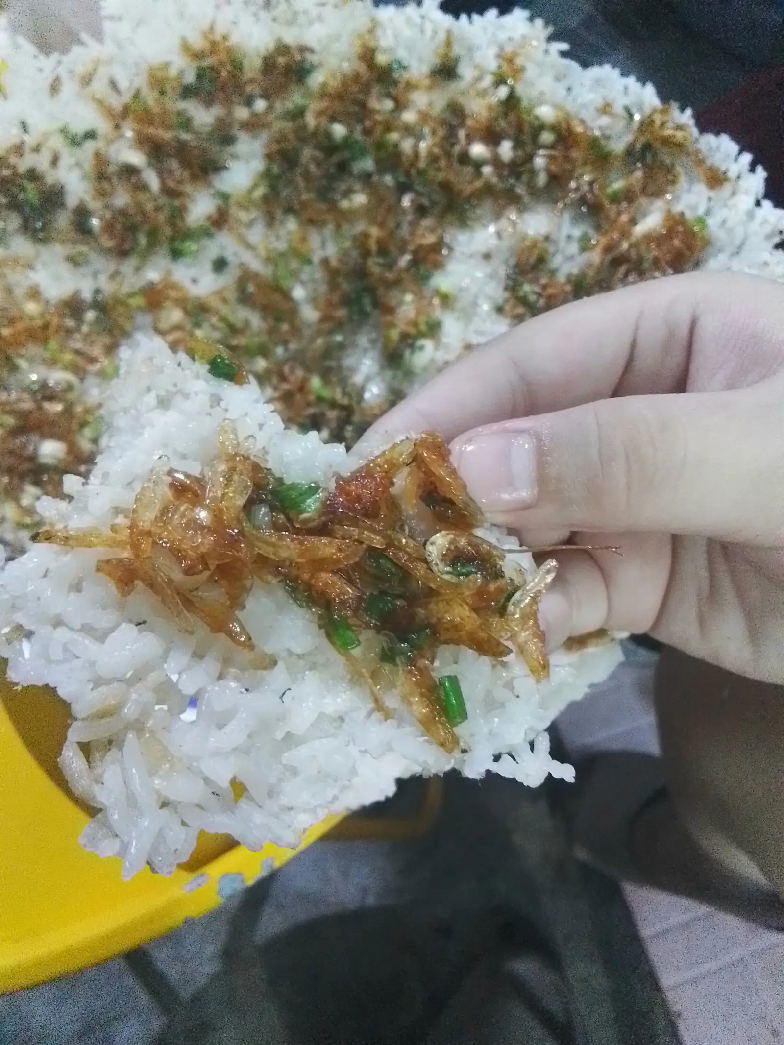 Hình ảnh Cơm cháy + mỡ hành con ruốc 