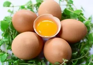Hình ảnh Trứng gà