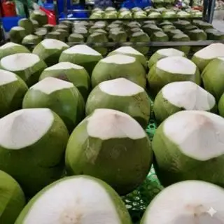 Hình ảnh Dừa xiêm gọt (5 trái)