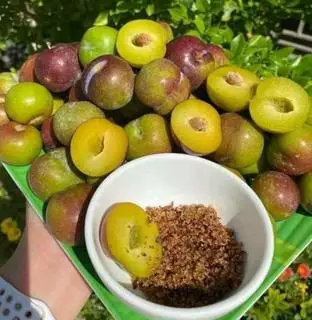 Hình ảnh Mận Róc Hạt