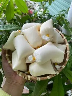 Hình ảnh (10 bịch) SỮA CHUA VỊ TRUYỀN THỐNG