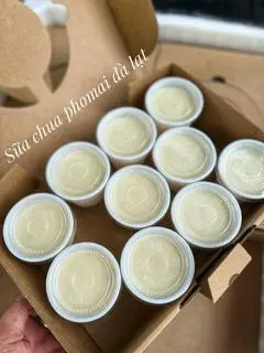 Hình ảnh Combo 10 hủ sữa chua phô mai Đà Lạt