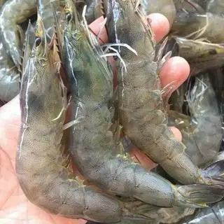 Hình ảnh Tôm thêm Mì cay