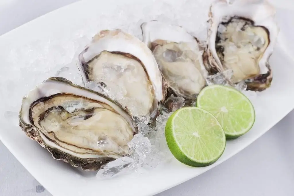 Hình ảnh Hàu sữa sống mù tạt sai lớn 5 con