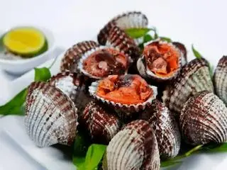 Hình ảnh Sò Huyết 