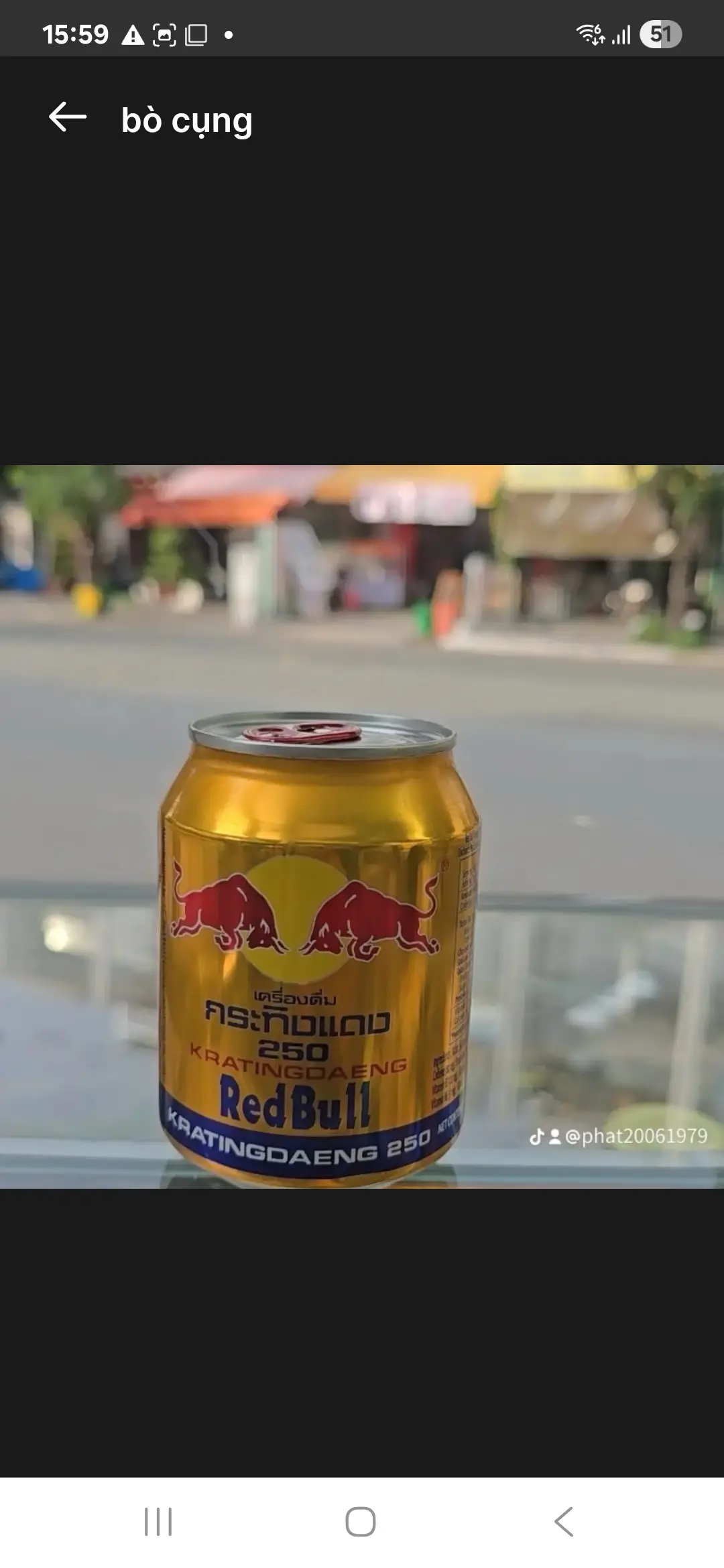 Hình ảnh Bò Húc