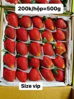 Hình ảnh Dâu tươi size VIP 500gr