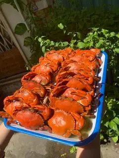 Hình ảnh 1 Cua thịt nhỏ + 2 tôm càng hấp