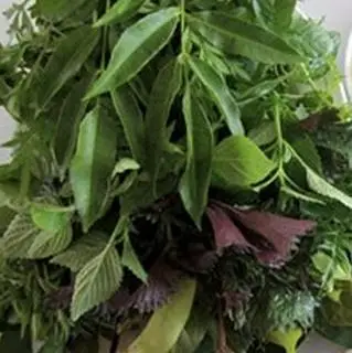 Hình ảnh Rau phần ăn bún 