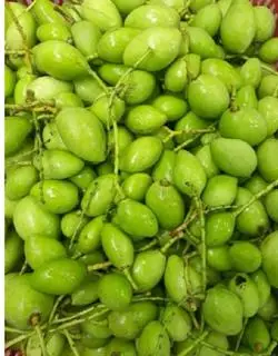 Hình ảnh (100g) xoài non, kèm muối.