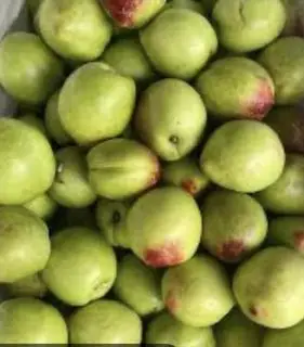 Hình ảnh đao  ương  1kg 