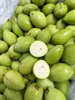 Hình ảnh 500gr xoài vào tử