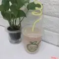 Hình ảnh Sinh tố saboche
