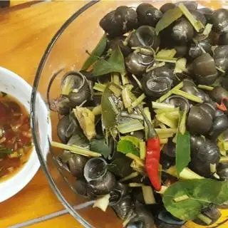 Hình ảnh Ốc đắng luộc