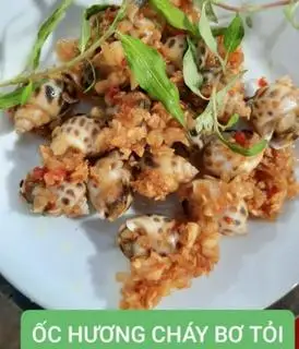 Hình ảnh Ốc hương