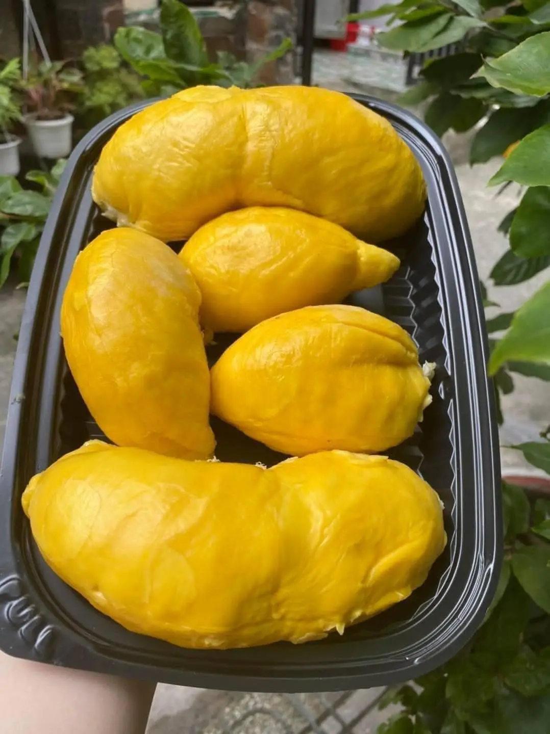 Hình ảnh Cơm sầu riêng ri 6