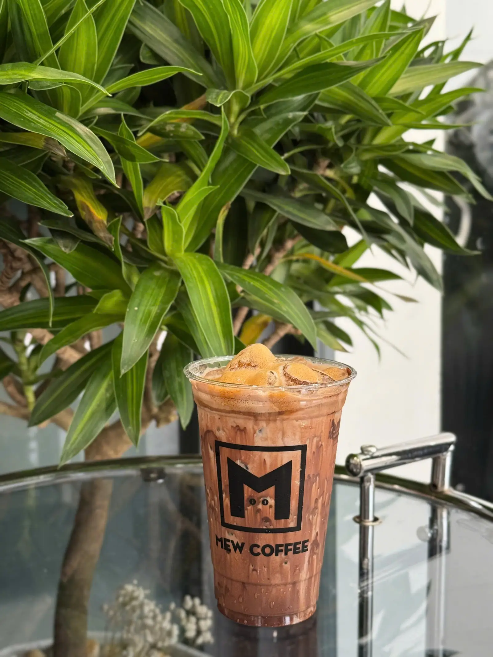 Hình ảnh Cafe Sữa