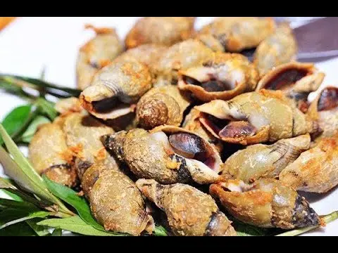 Hình ảnh Ốc cà na rang muối