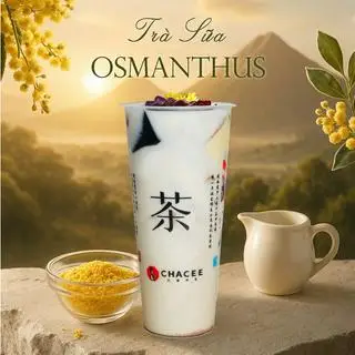 Hình ảnh Trà sữa osmanthus - best seller