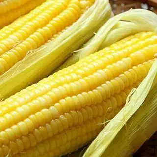 Hình ảnh Bắp nếp luộc - 1 trái