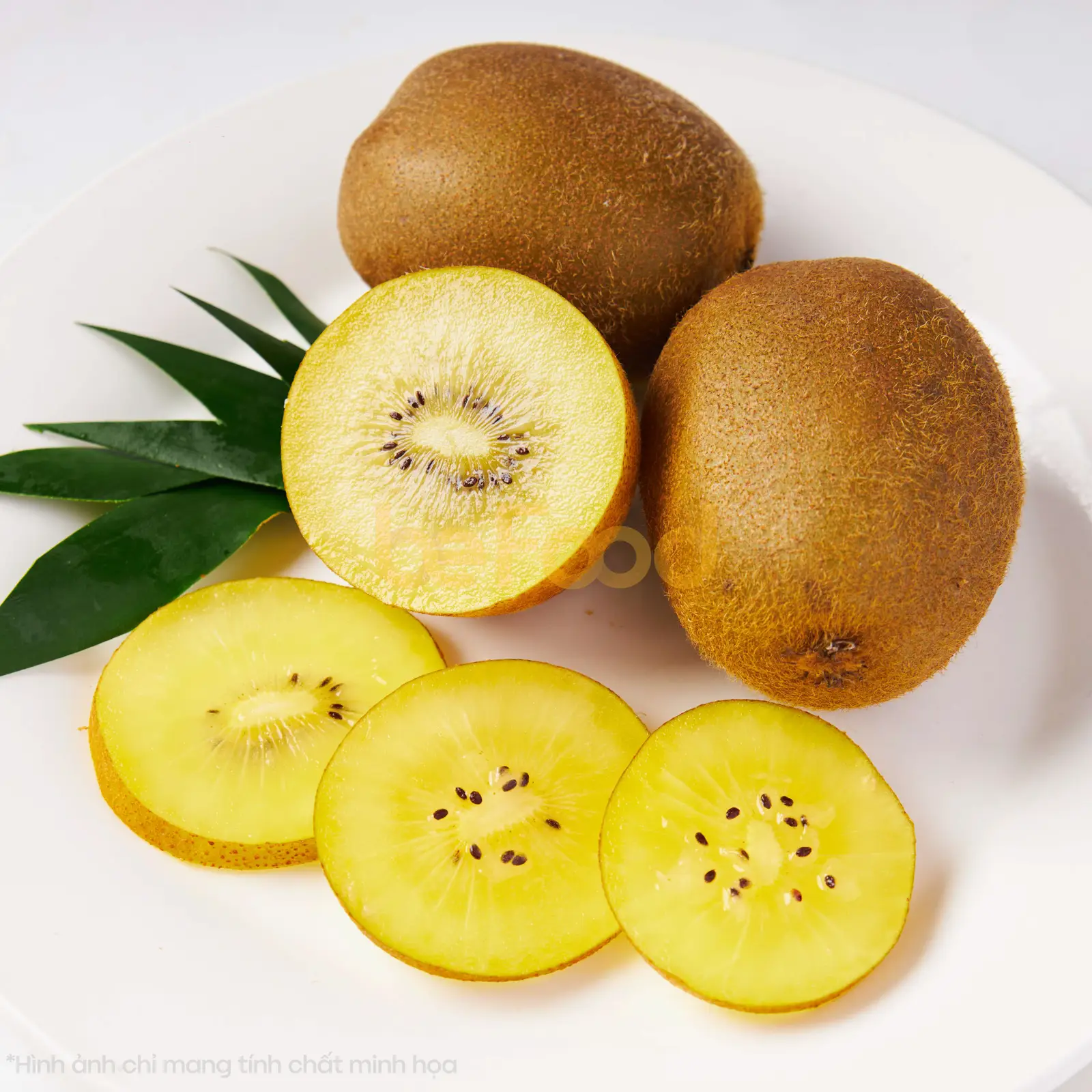 Hình ảnh Kiwi xanh - 300g