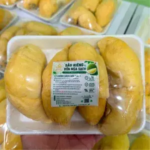 Hình ảnh Khay sầu riêng tách sẵn 600g (loại Vipp) siêu thượng hạng