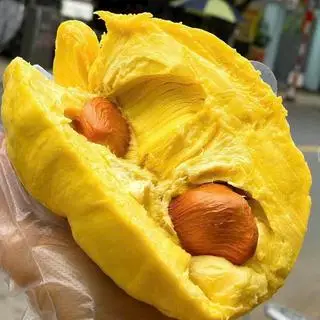 Hình ảnh Sầu riêng
