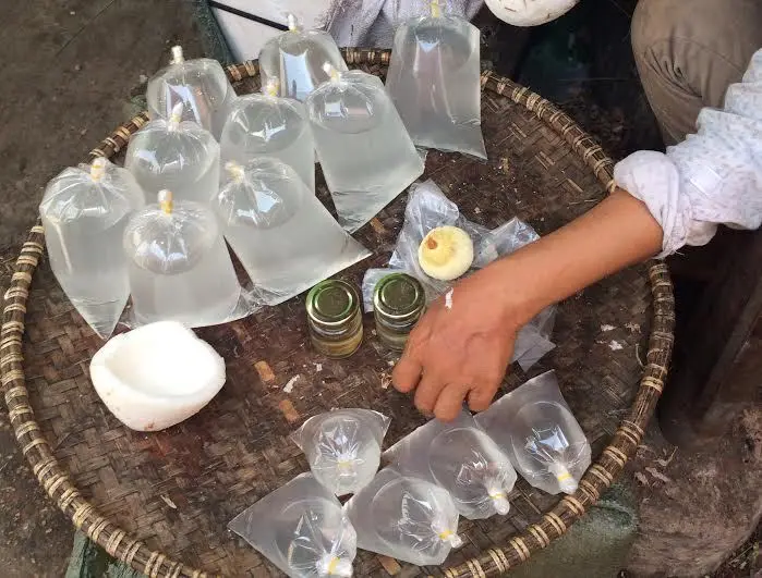 Hình ảnh NƯỚC DỪA XIÊM NGUYÊN CHẤT - TÚI 1L