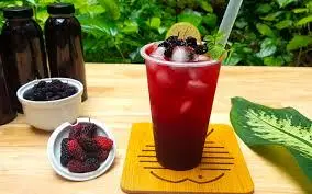 Hình ảnh Trà dâu dầm