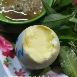 Hình ảnh Hột vịt dữa to