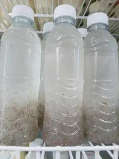 Hình ảnh Nha đam hạt chia - 1 chai