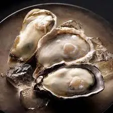 Hình ảnh Hàu Nhật - Hiyogo Oyster
