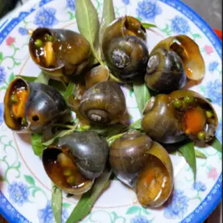 Hình ảnh Ốc bươu nướng tiêu