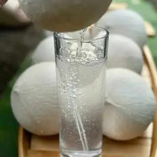 Hình ảnh Dừa ly