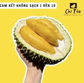 Hình ảnh Musaking ủ tự nhiên ở nhiệt độ 33 - 2 trái