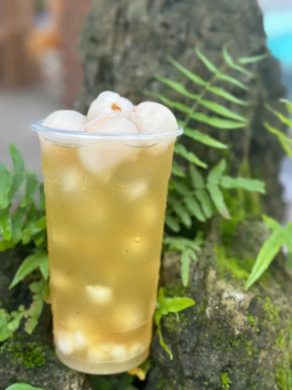 Hình ảnh Trà vải