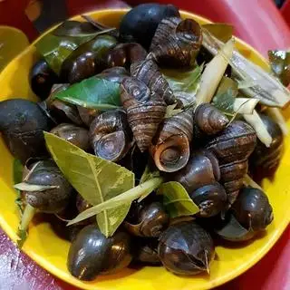 Hình ảnh Ốc lẫn luộc