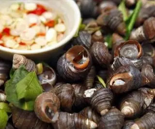 Hình ảnh Ốc nhỏ luộc