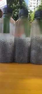 Hình ảnh Hạt é thạch dừa